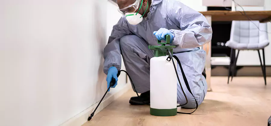 Long Lasting Mosquito Treatment in Commerce Township
