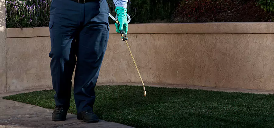 Soil Treatment for New Construction Termites in Commerce Township