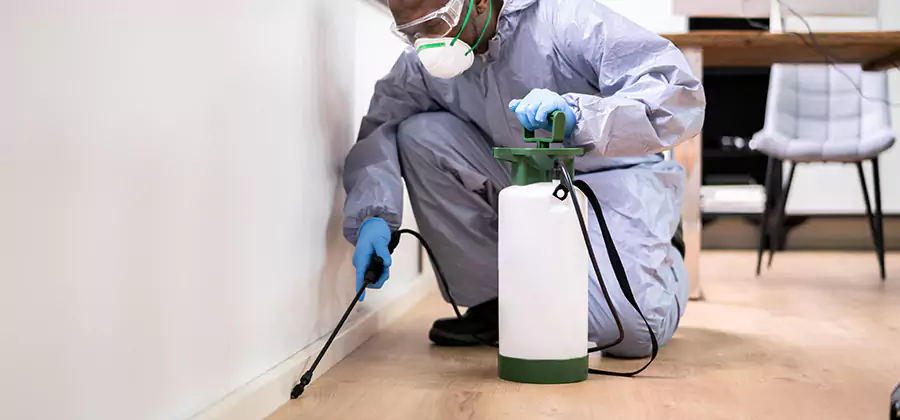 No Tent Termite Extermination With Electric Tool in Commerce Township