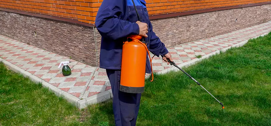 Non Toxic Termite Treatment in Commerce Township