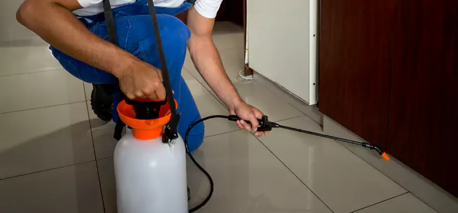 One Time Termite Control in Commerce Township