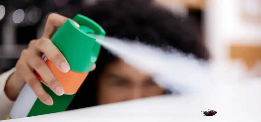 Child Safe Bed Bug Treatment in Commerce Township