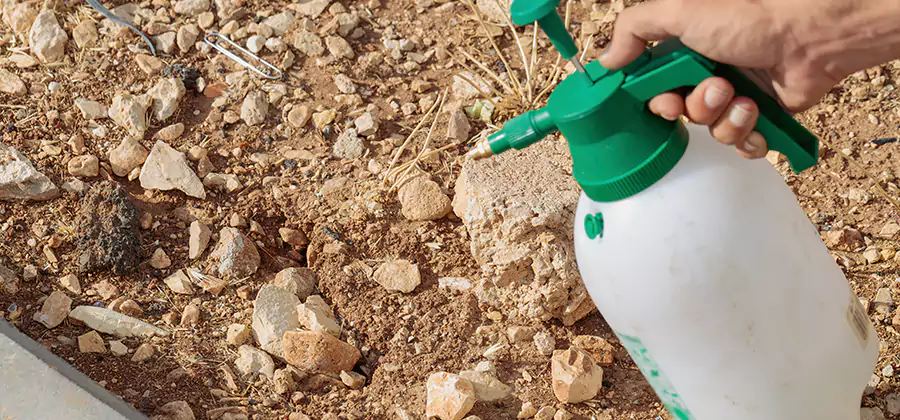 Heat Treatment Termite Cost in Commerce Township