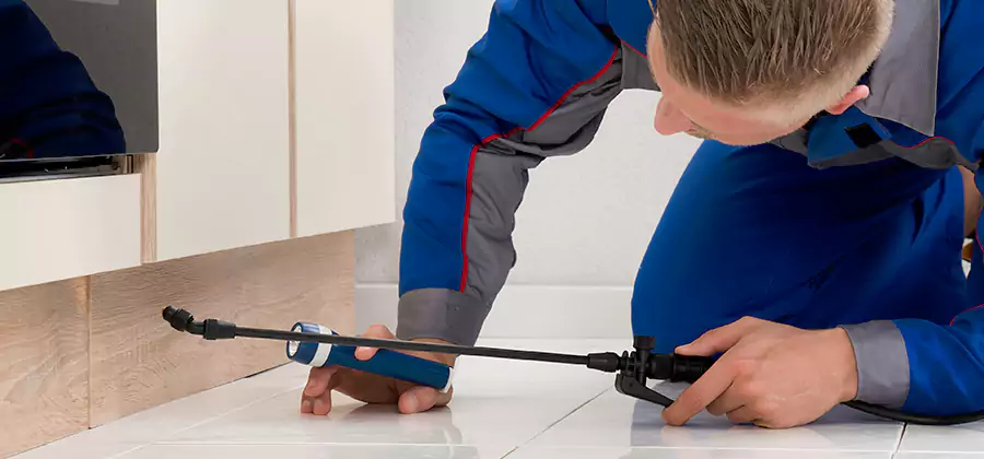 Moisture Treatment For Termite Control Service in Commerce Township