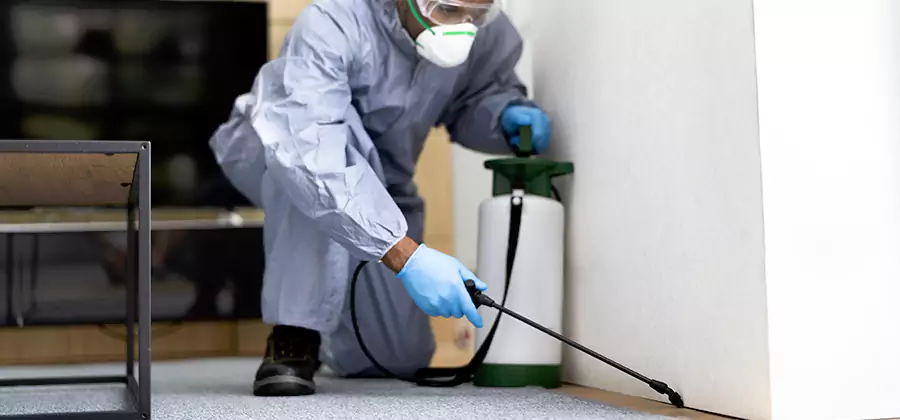 Wood Protection Termite Treatment in Commerce Township