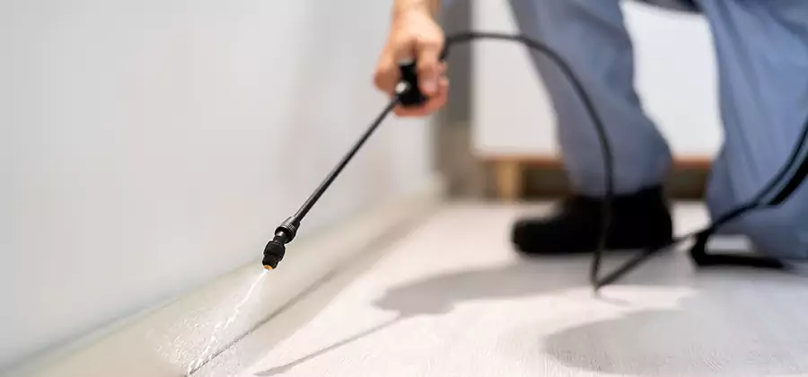 Direct Termite Injection Treatment in Commerce Township