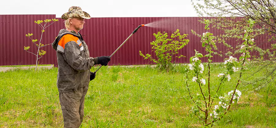 Flea and Tick Spray for Yard in Commerce Township