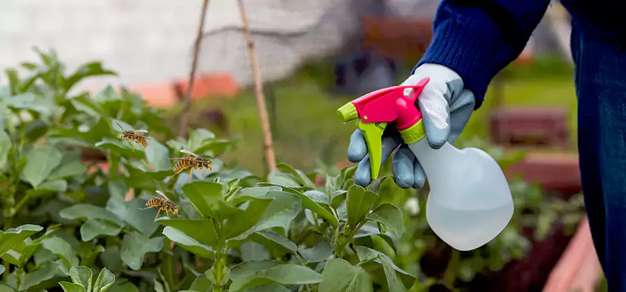 Yellow Jacket Pest Removal for Commercial Properties in Commerce Township