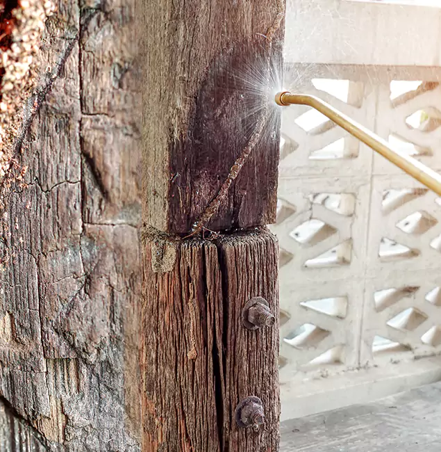Why Choose Commerce Township Pest Control Pro for Attic Termite Treatment in Commerce Township, MI?