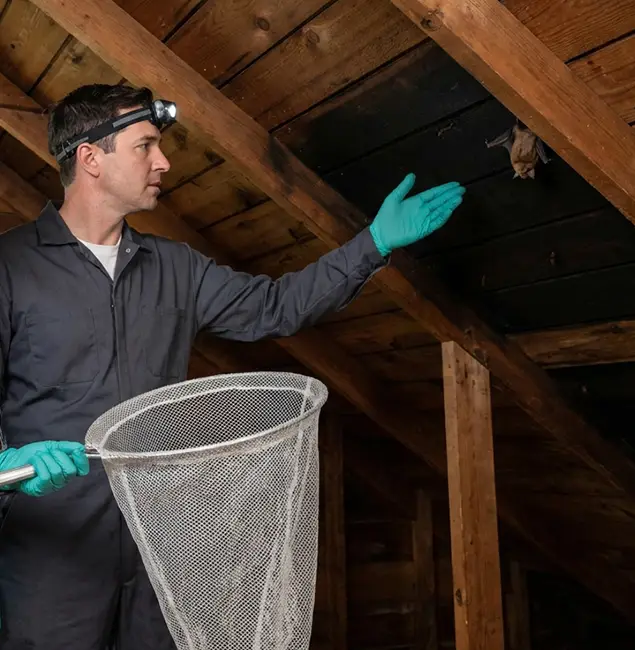 Why Commerce Township Pest Control Pro Is the Right Choice in Commerce Township, MI?