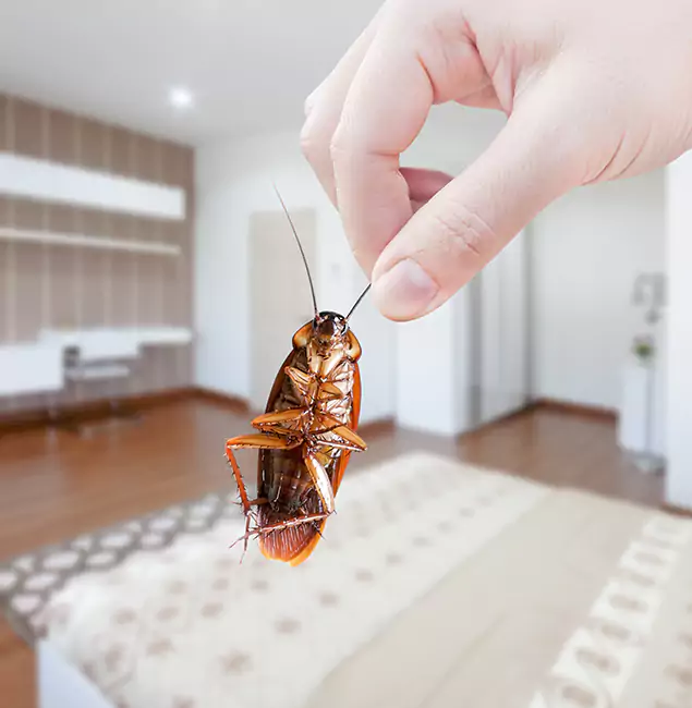 Why Commerce Township Pest Control Pro Stand Out for Bed Bug Fumigation in Commerce Township, MI?