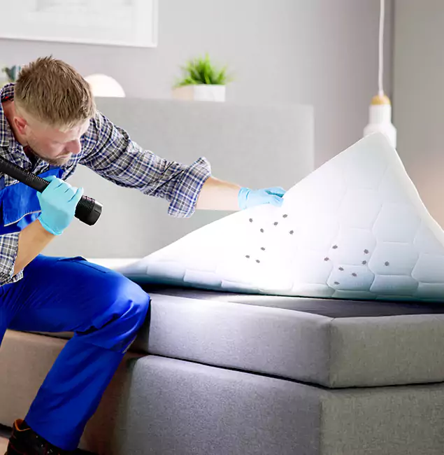 Why Choose Commerce Township Pest Control Pro in Commerce Township, MI?
