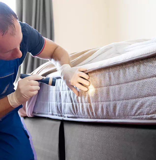 Why Choose Commerce Township Pest Control Pro for Bed Bug Services in Commerce Township, MI?