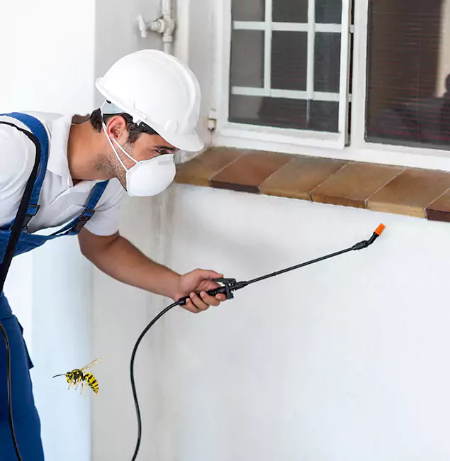 Why Commerce Township Property Owners Choose Commerce Township Pest Control Pro for Bee Nest Removal?