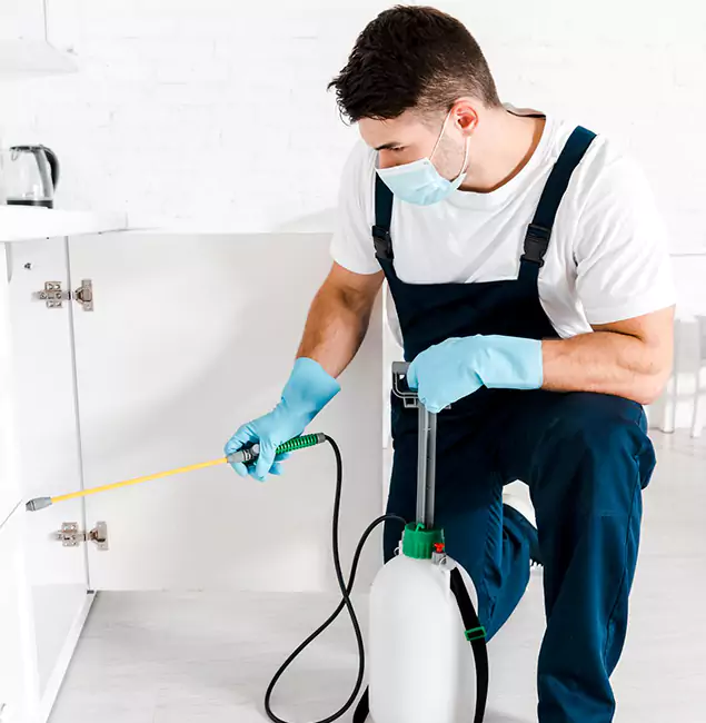 Why Choose Commerce Township Pest Control Pro for Emergency Pest Control in Commerce Township?