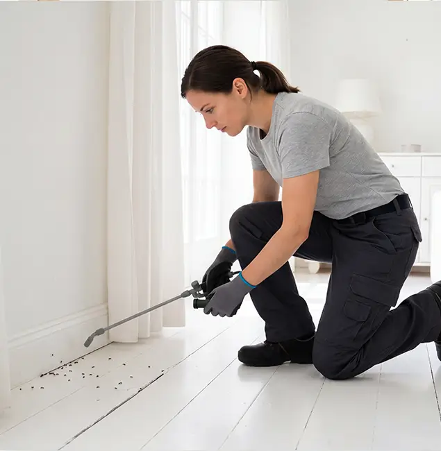 Why Commerce Township, MI Property Owners Trust Commerce Township Pest Control Pro for Fire Ant Control?