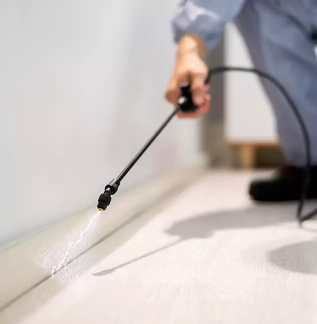 Why Choose Commerce Township Pest Control Pro for Termite Treatment in Commerce Township, MI?