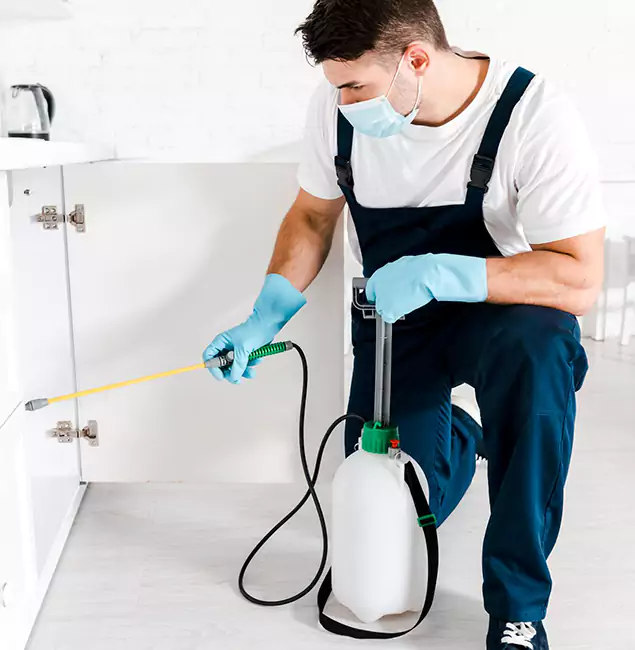 Why Commerce Township, MI Homeowners Trust Us for German Roach Control?