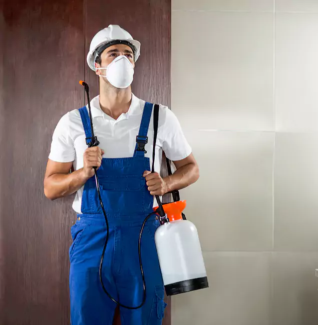 Why Choose Us for Heat Treatment for Termites in Commerce Township, MI?
