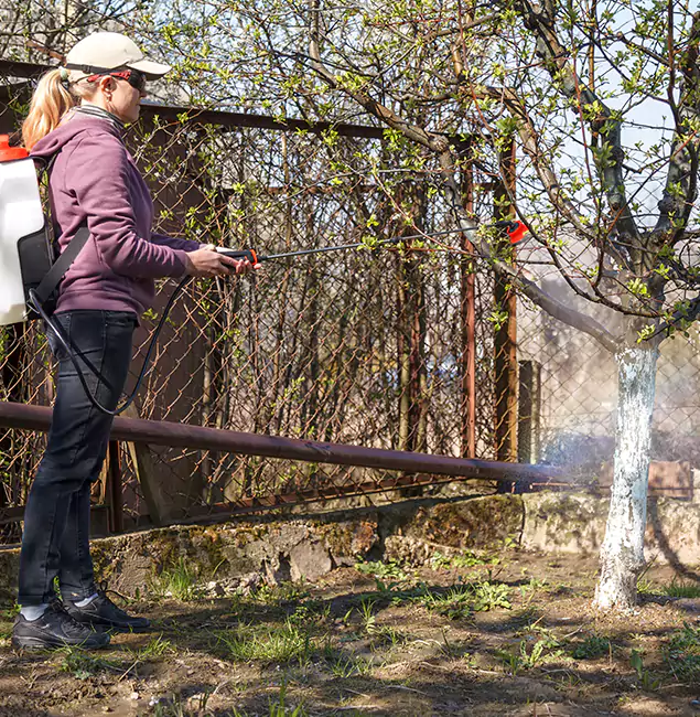 Why Commerce Township Homeowners Choose Commerce Township Pest Control Pro for Mosquito Abatement?