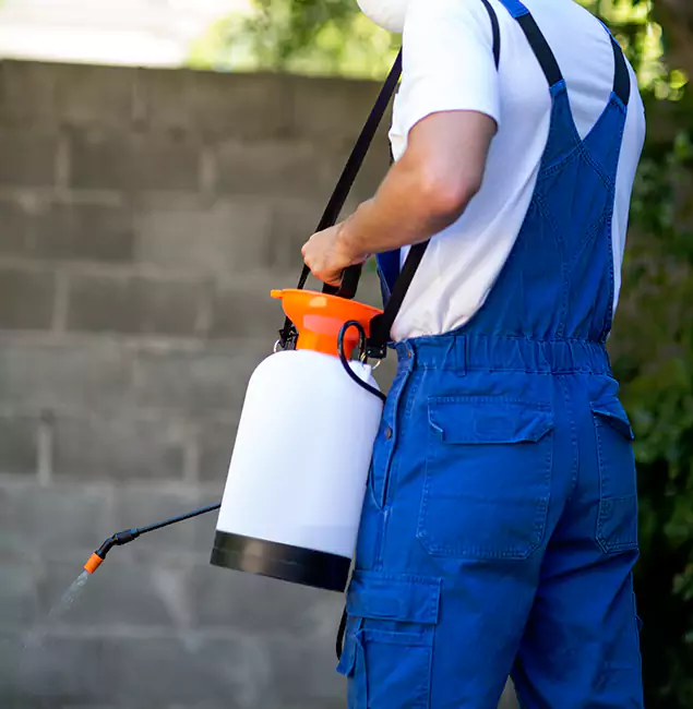 Why Commerce Township Homeowners Rely on Commerce Township Pest Control Pro for Mosquito Control?