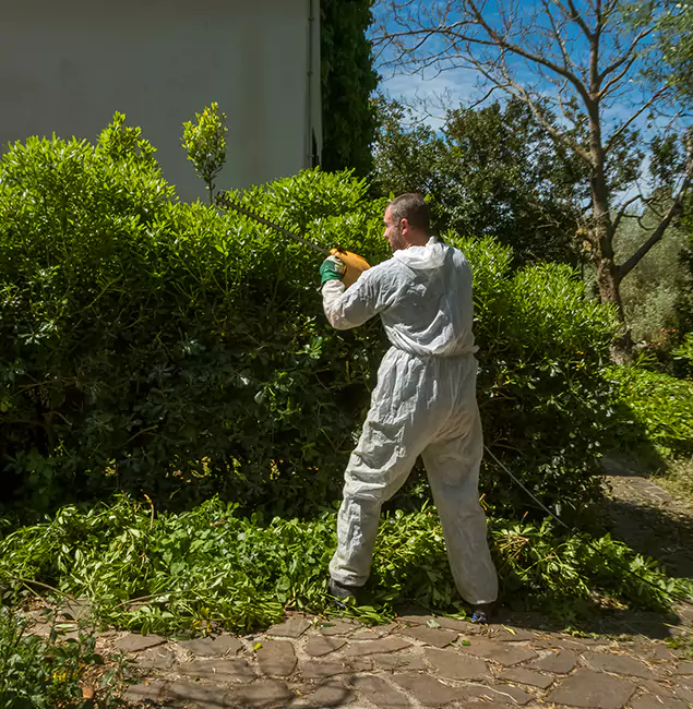 Why Commerce Township Pest Control Pro Leads Mosquito Control in Commerce Township, MI?