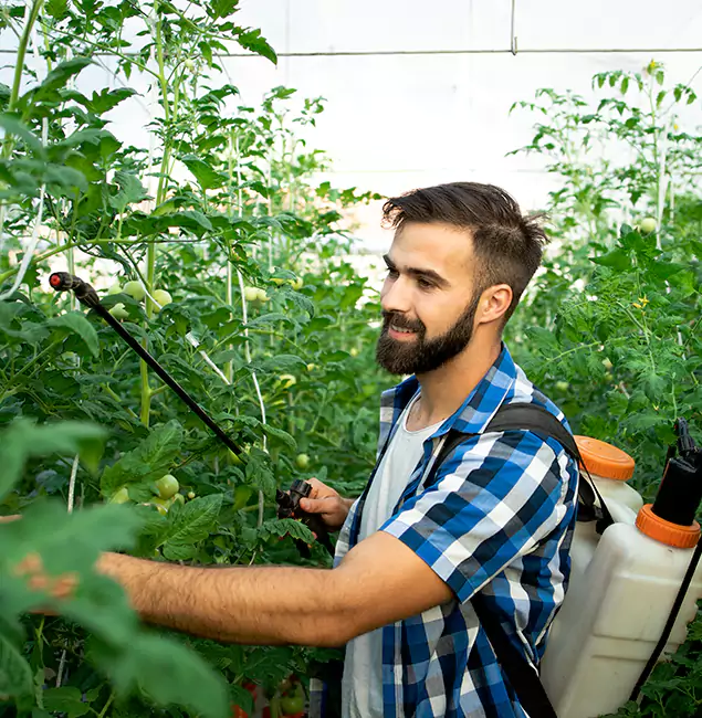 Why Commerce Township Homeowners Choose Commerce Township Pest Control Pro for Mosquito Spraying?