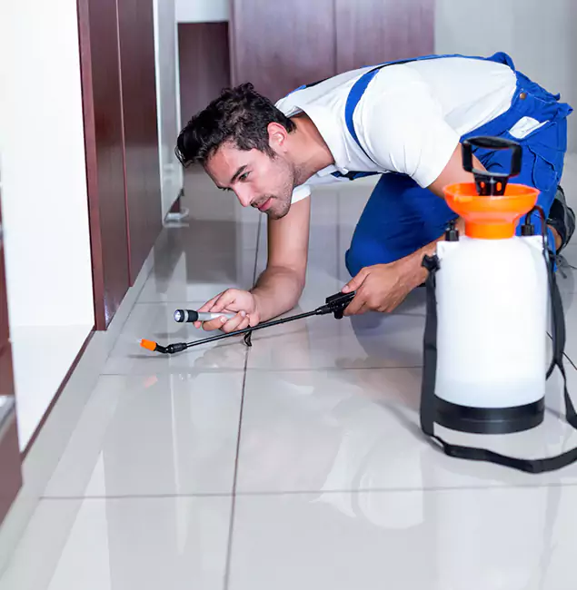 Why Commerce Township Pest Control Pro Is the Proven Choice in Commerce Township, MI?