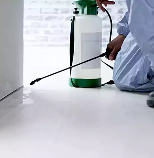 Why Choose Commerce Township Pest Control Pro for Rat Exterminator in Commerce Township, MI?