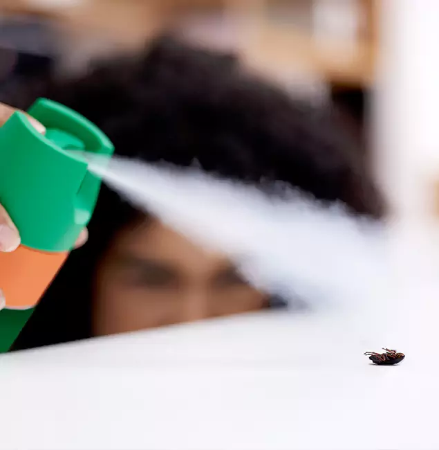 Why Commerce Township, MI Homeowners Choose Commerce Township Pest Control Pro for Roach Pest Control?