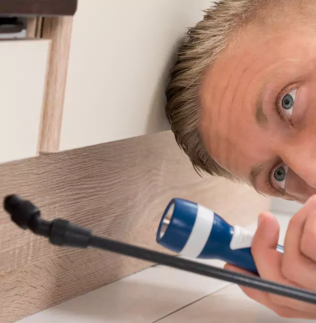 Why Choose Commerce Township Pest Control Pro for Rodent Exterminator in Commerce Township, MI?