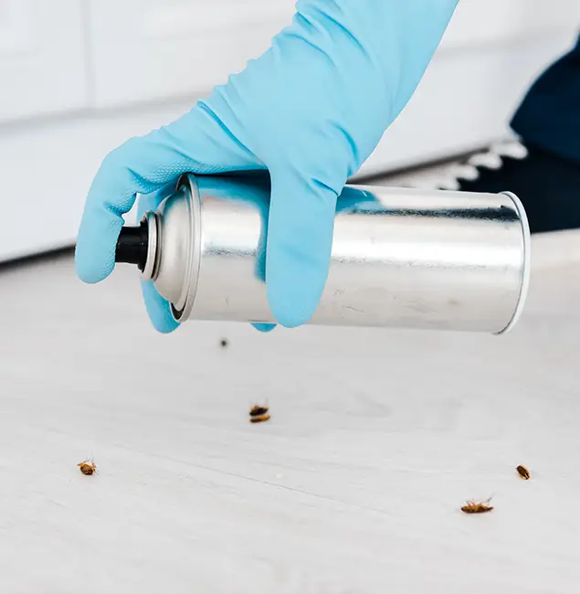 Why Choose Commerce Township Pest Control Pro for Safe Bed Bug Treatment in Commerce Township, MI?