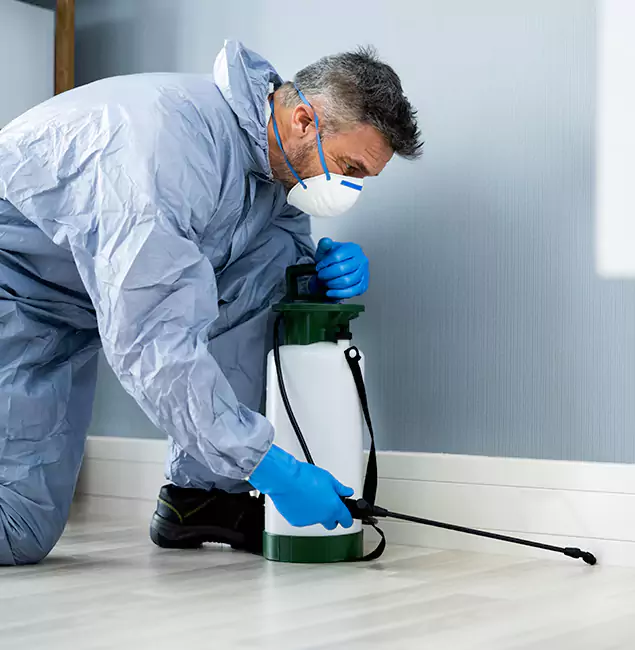 Why Choose Commerce Township Pest Control Pro for Subterranean Termites Treatment in Commerce Township, MI?