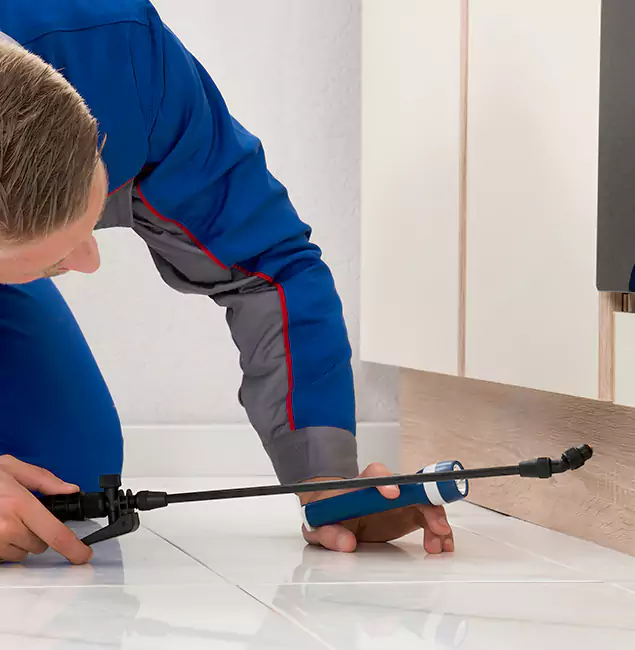 Why Commerce Township Residents Choose Commerce Township Pest Control Pro to Get Rid of Sugar Ants?