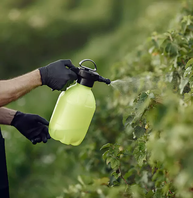 Why Commerce Township Homeowners Choose Commerce Township Pest Control Pro for Yard Tick Treatment?