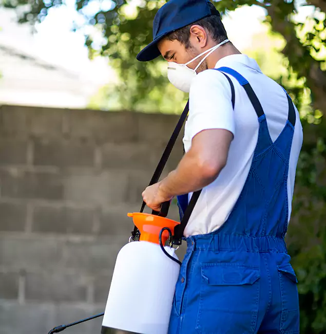 Why Commerce Township Pest Control Pro Is the Right Choice for Yellow Jacket Removal in Commerce Township, MI?