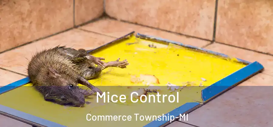  Mice Control Commerce Township-MI