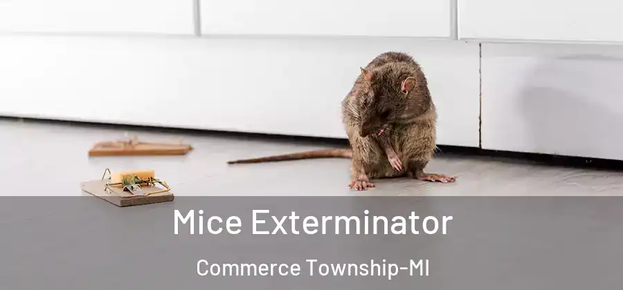 Mice Exterminator Commerce Township-MI