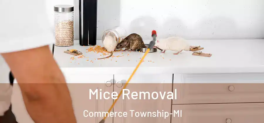  Mice Removal Commerce Township-MI
