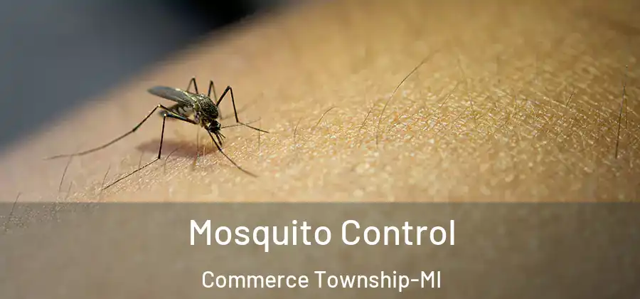 Mosquito Control Commerce Township-MI