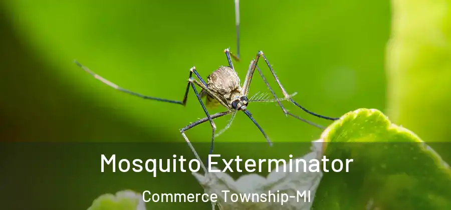  Mosquito Exterminator Commerce Township-MI