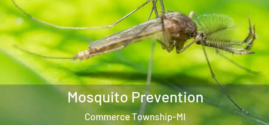 Mosquito Prevention Commerce Township-MI