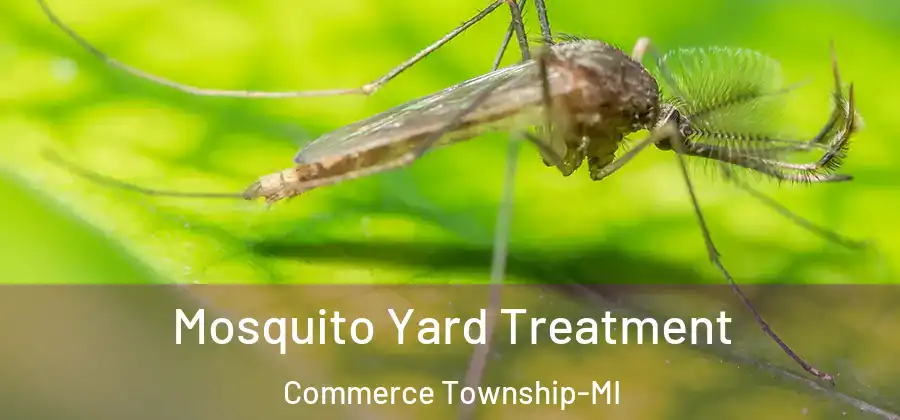 Mosquito Yard Treatment Commerce Township-MI