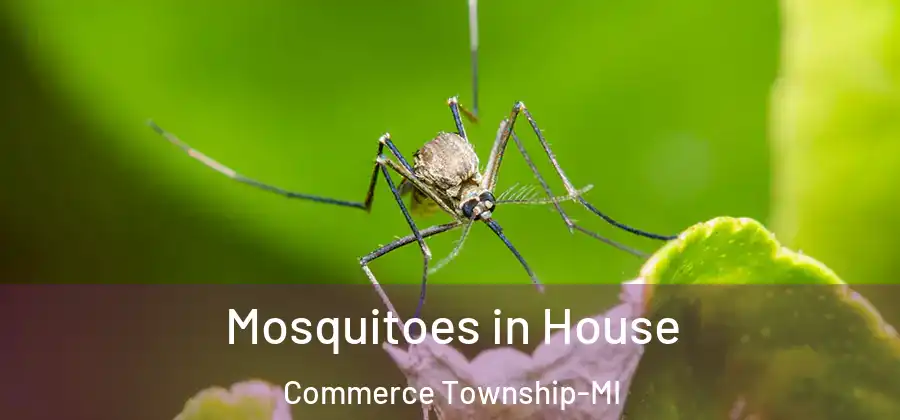 Mosquitoes in House Commerce Township-MI