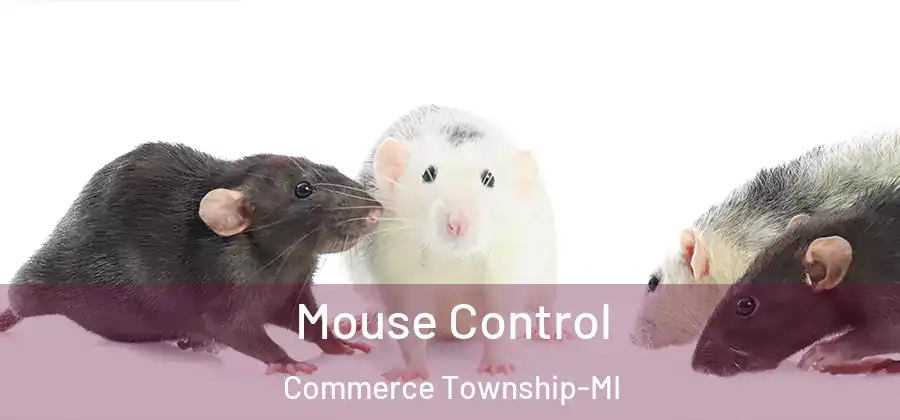 Mouse Control Commerce Township-MI