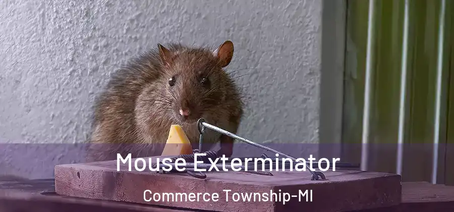 Mouse Exterminator Commerce Township-MI