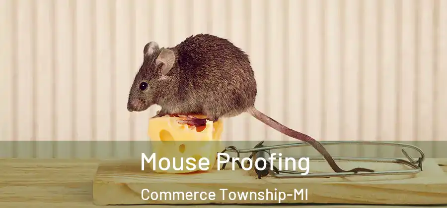 Mouse Proofing Commerce Township-MI