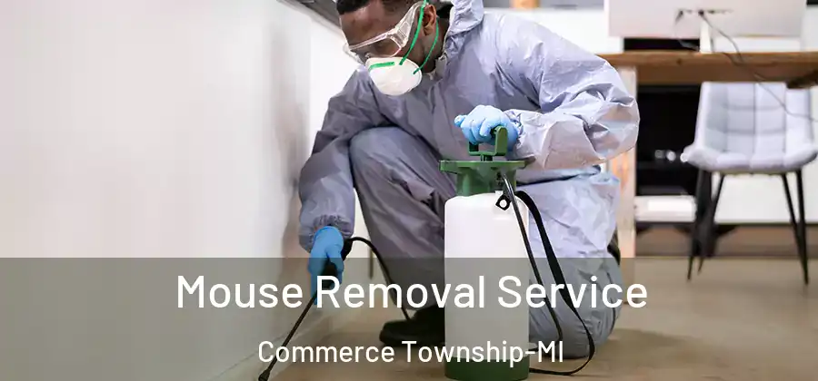 Mouse Removal Service Commerce Township-MI
