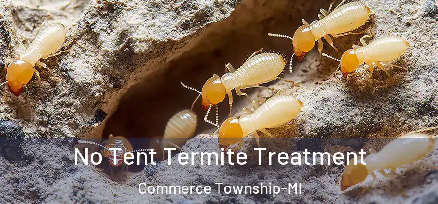 No Tent Termite Treatment Commerce Township-MI