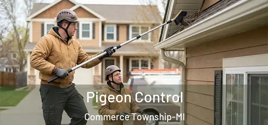  Pigeon Control Commerce Township-MI